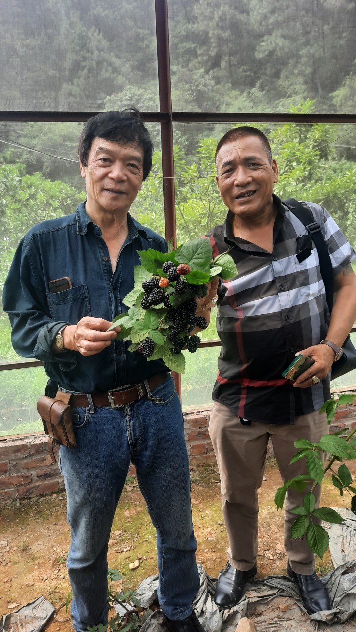 Product Info Image 12